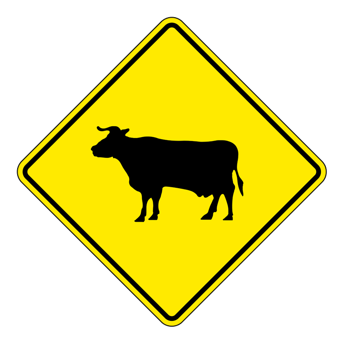 WC9, Cattle Crossing, 60x60cm