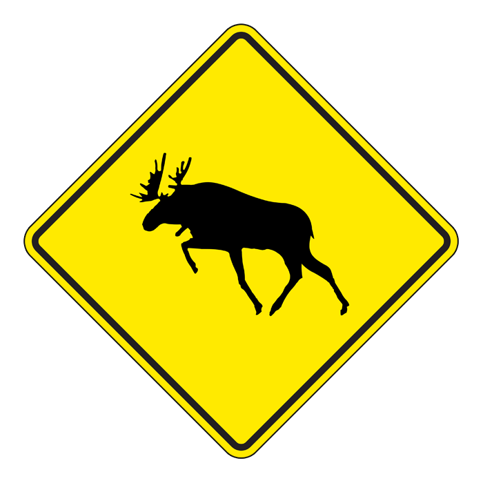 WC12, OVERSIZED Moose Crossing, 90x90cm