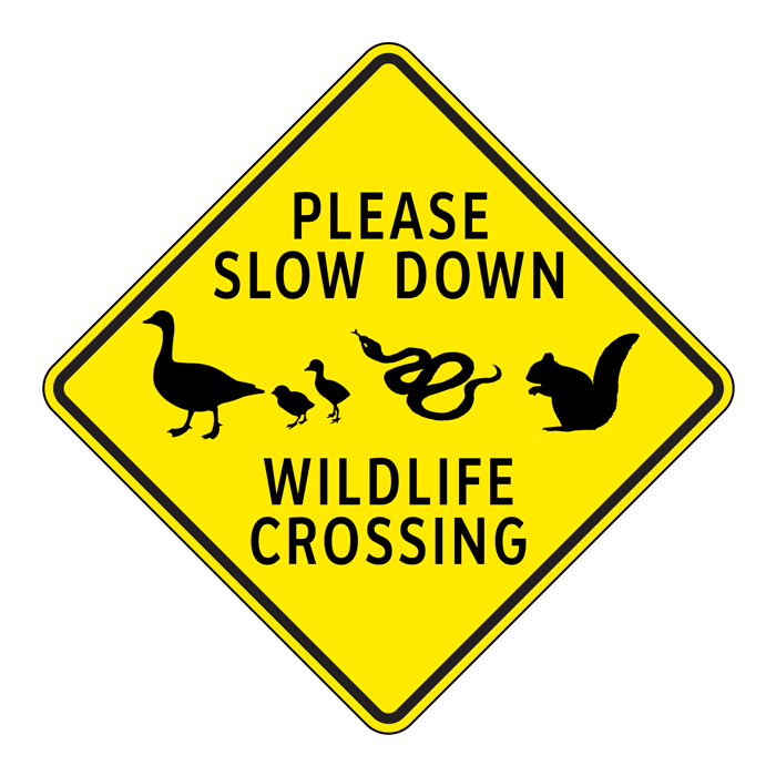 CR3 Please Slow Down Wildlife Crossing, 60x60cm