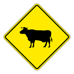 WC9, Cattle Crossing, 60x60cm