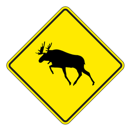 WC12, Moose Crossing, 60x60cm