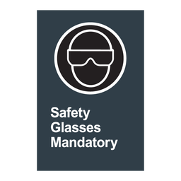 M13 CSA Safety Glasses Mandatory