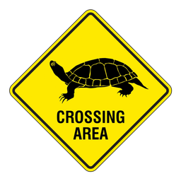 CR1 Turtle Crossing, 60x60cm